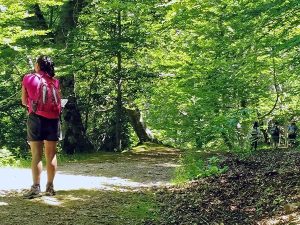 Escapada Banys de Bosc
